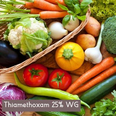 Thiamethoxam 25% WG | Peptech Bioscience Ltd | Manufacturer And Exporter