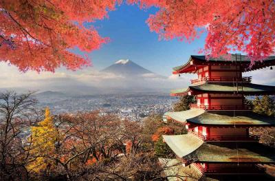 Discover Japan's Rich Culture: Thrillophilia's Unforgettable Tour Packages