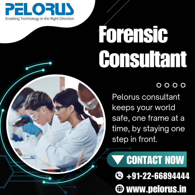 Pelorus | Forensic consultant - Mumbai Other