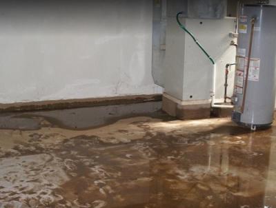 Professional Flooded Basement Water Cleanup Services - Other Other