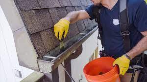 Solar Panel Cleaning - Washington Other