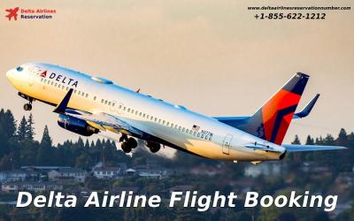 Delta Airline Flight Booking - Chicago Other