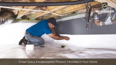 Crawl Space Encapsulation Prevent Termites in Your Home