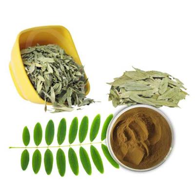 Wholesale Organic Senna Leaves Powder - Other Other