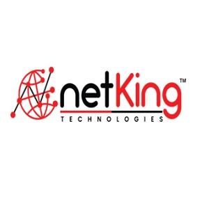 Affordable Facebook Marketing Packages in India - Netking Technologies