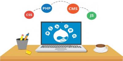 Drupal CMS is the Best Framework for Developing Your Website