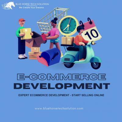 Expert Ecommerce Development - Start Selling Online - Jaipur Other