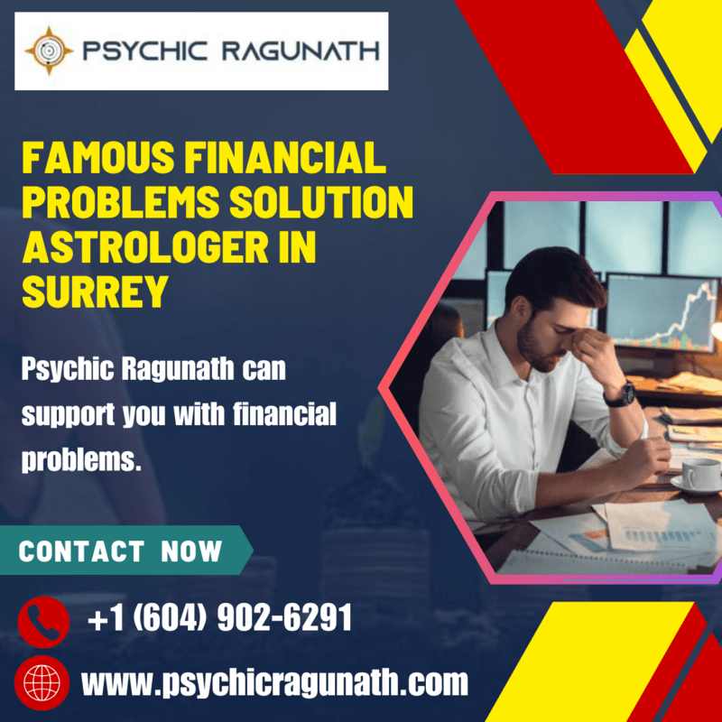 Famous Financial Problems Solution Astrologer in Surrey - Bafang Other