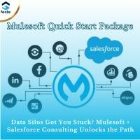 Mulesoft + Salesforce Experts: Unlocking the Power of Integration & Growth