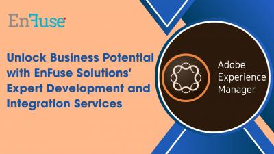 Unlock Business Potential with EnFuse Solutions' Expert Development and Integration Services
