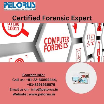 cyber forensics expert | digital investigation - Mumbai Computer