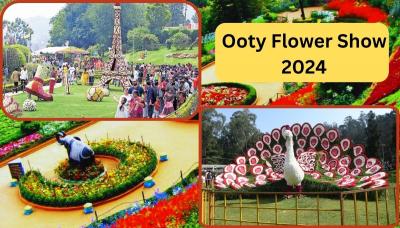 Ooty Flower Show 2024: Summer Festival Tamilnadu See Full Details