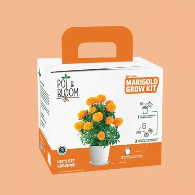 Explore Flower Kits for Home Gardening | Pot & Bloom