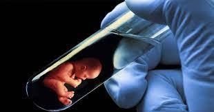 Test Tube Baby (IVF) Center in Mumbai, Navi Mumbai - Mumbai Health, Personal Trainer