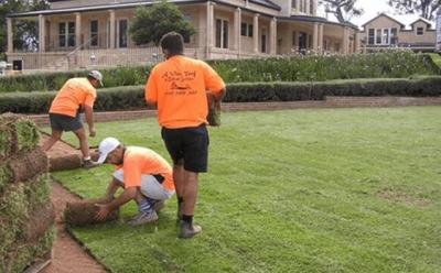 Sydney Turf Supplies Available Based On Soil Type and Budget