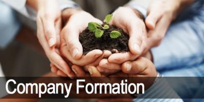 Company formation process in India - Delhi Professional Services