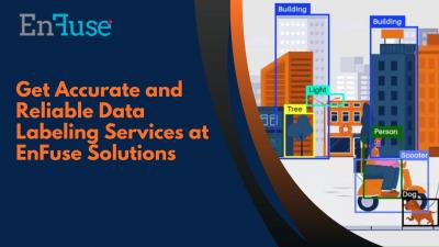 Get Accurate and Reliable Data Labeling Services at EnFuse Solutions
