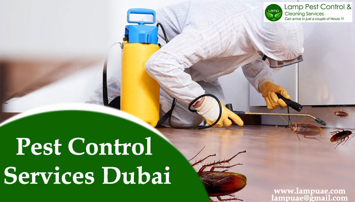 pest control company Dubai - Dubai Other