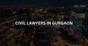 civil lawyers in gurugram  - Delhi Professional Services