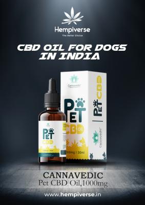 CBD Oil for Dogs in India- Hempiverse - Other Other
