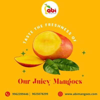Best Quality Fresh Mangoes from Abi Mangoes.