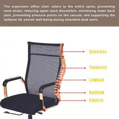 Why Do We Need Ergonomic Office Chairs Rather Than Simple Chairs?