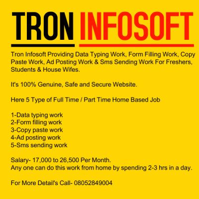 Full Time / Part Time Home Based Data Entry Jobs - Agra Temp, Part Time