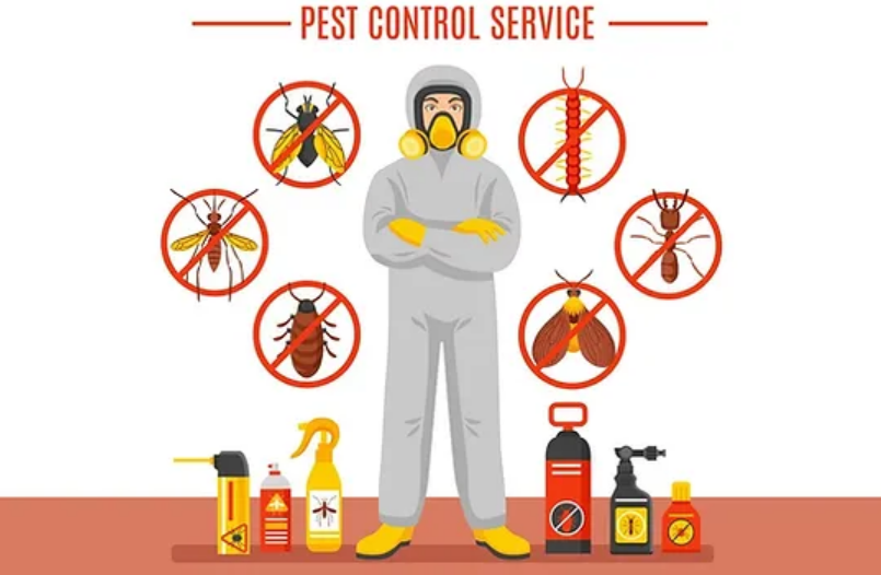 Pest Control Services in Kandivali West — Call Today 9768000809 - Mumbai Professional Services