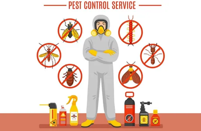 Rodent Control Services in Mumbai — Call Today 9768000809 - Mumbai Professional Services