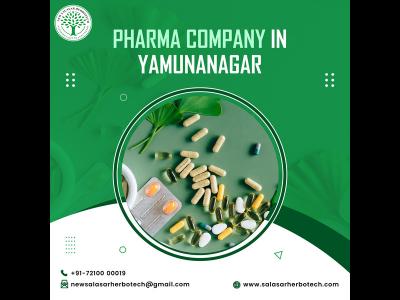 From Tradition to Innovation: Evolution of Pharma Company in Yamunanagar - Other Other