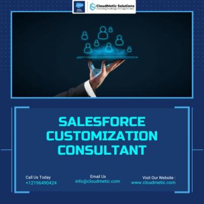 Salesforce Customization Consultant - New York Other