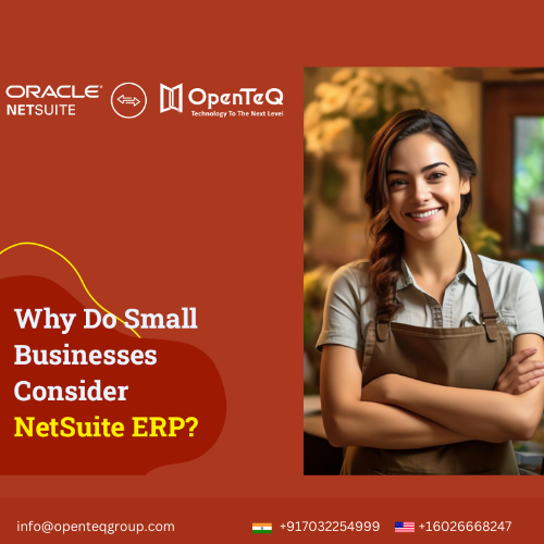 NetSuite ERP Implementation | NetSuite Consultation	