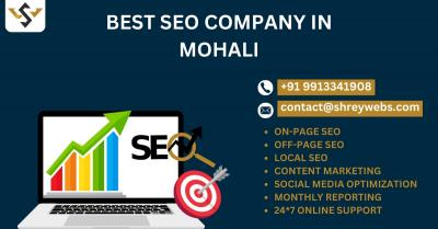 Boost Your Online Visibility: Partner with the Best SEO Company in Mohali