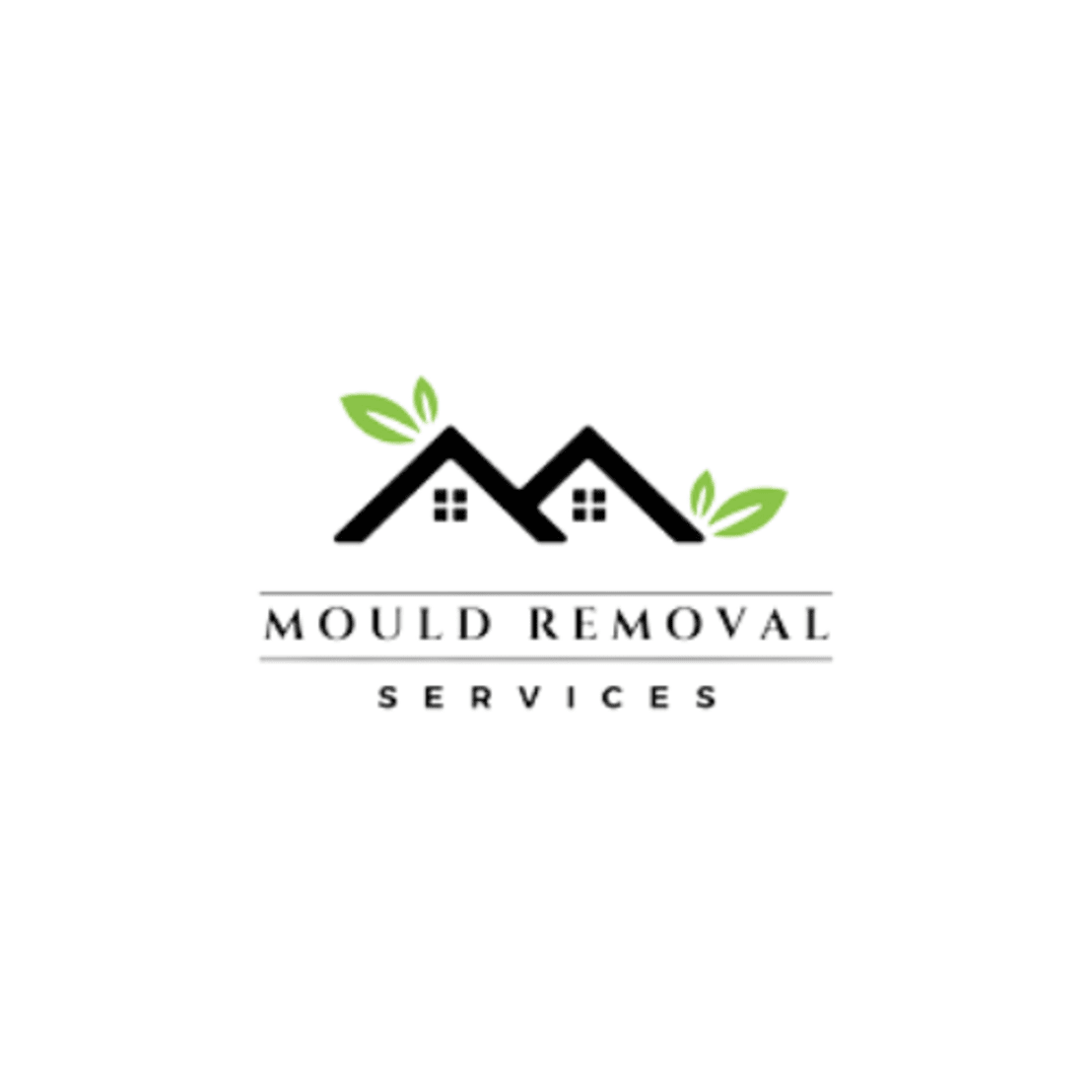 Avail The Best Mould Removal Services in Singapore