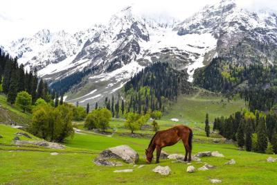 Discover the Magic: Kashmir Package Tour from Bangalore