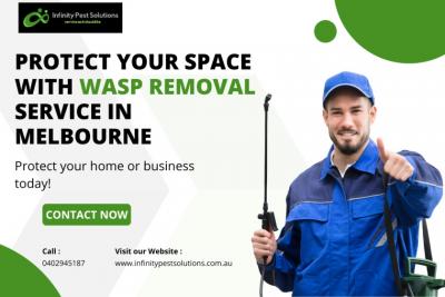 Protect Your Space with Wasp Removal Service in Melbourne  - Melbourne Maintenance, Repair