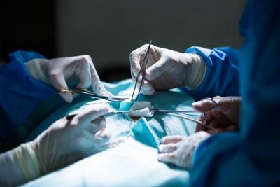 Reliable Hysterectomy Doctors in Ahmedabad - Ahmedabad Other