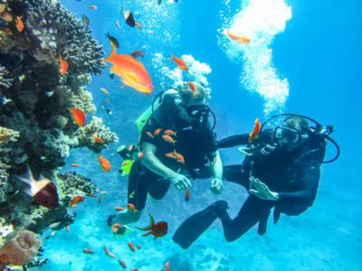 Join in open water diver course in Andaman to be a confident or comfortable diver 