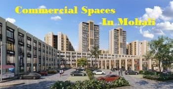 Commercial Spaces In Mohali - Chandigarh Other