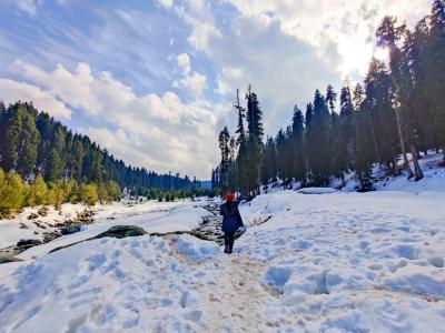 Kashmir Awaits: Book Your Tour Package from Pune - Pune Other