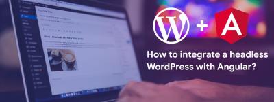 Integrating Angular with WordPress - Gurgaon Other