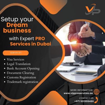 Do you need PRO Services in Dubai?