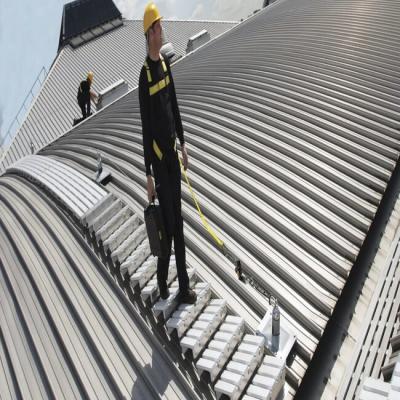 Roof Walkway Testing Services- Eurosafe  - Other Other