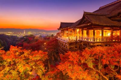 Exquisite Japan Honeymoon Escapes by Thrillophilia - Jaipur Other