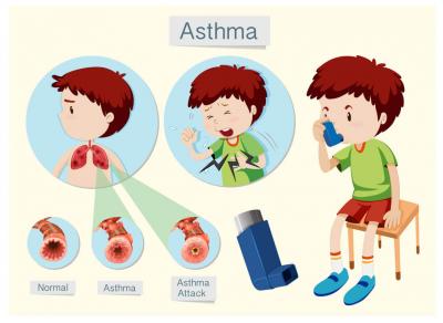 Orlando Allergy and Asthma - Other Health, Personal Trainer