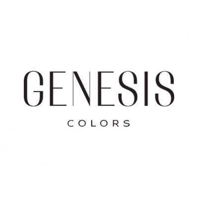 Genesis Colors Share Price Now At A Record High