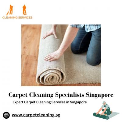 Top Carpet Cleaning Specialists in Singapore