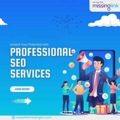 Unlock Your Potential with Professional SEO Services