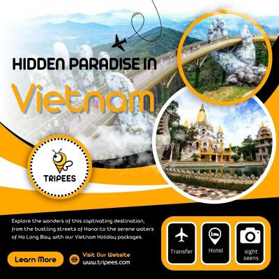 Vietnam Holiday Packages. - Other Other