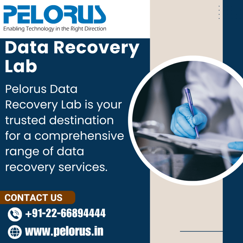 Pelorus | Data Recovery Lab - Mumbai Computer